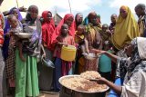 UN report reveals alarming rise in Africa's food insecurity despite global improvements