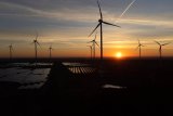 UN says booming solar, wind and other green energy hits global tipping point for ever lower costs