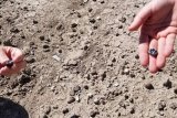 Fossil teeth lead to discovery of human species that lived alongside our oldest ancestors