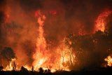 Wildfires are blazing across Africa – but leaders like Trump are turning away