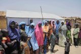 Nigeria's military says its airstrikes killed 35 Islamic militants in Borno state