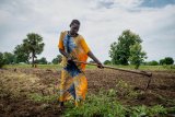 Mental health clinics in violence-prone South Sudan are rare and endangered