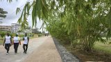 The Bright Side: Abidjan landfill transformed into city parkland
