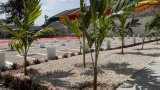 Senegal awaits report on French colonial-era massacre of Thiaroye