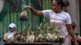 French dictionary gets bad rap over Congolese banana leaf dish