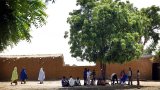 Niger youth go green for Eid to save trees