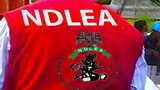Nigeria: NDLEA arrests suspected drug kingpin at Lagos Airport