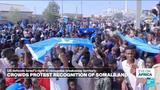 Thousands of Somalis protest against Israel's recognition of Somaliland