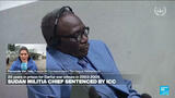 ICC sentences Sudan militia chief to 20 years for 2003–2004 Darfur war crimes