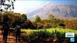 The Bright Side: Malawi's sacred Mount Mulanje added to UNESCO World Heritage List