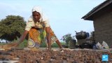 Nigerian nut ban slammed as shea madness