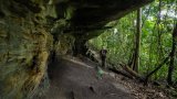 Gabon forest cave reveals clues about prehistoric central Africa