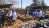 Harare goes green: capital city leads Zimbabwe’s climate fight with bold urban solutions